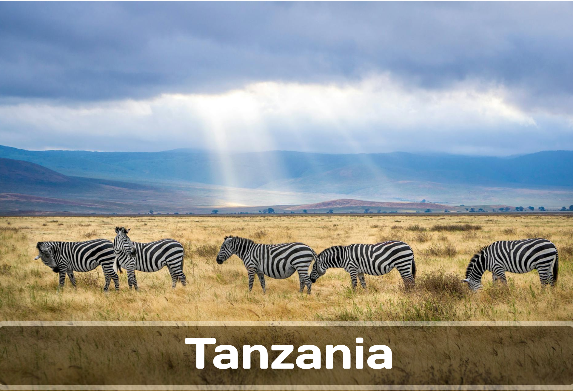 Things to do in Tanzania