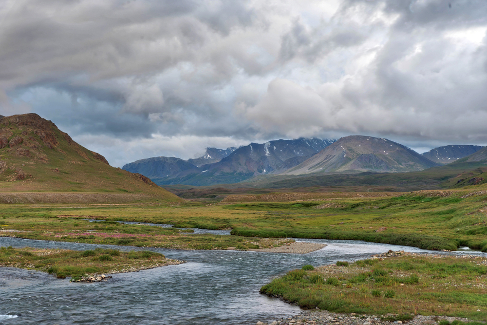 Deosai,Plains,In,Northern,Pakistan,,Taken,In,August,2019