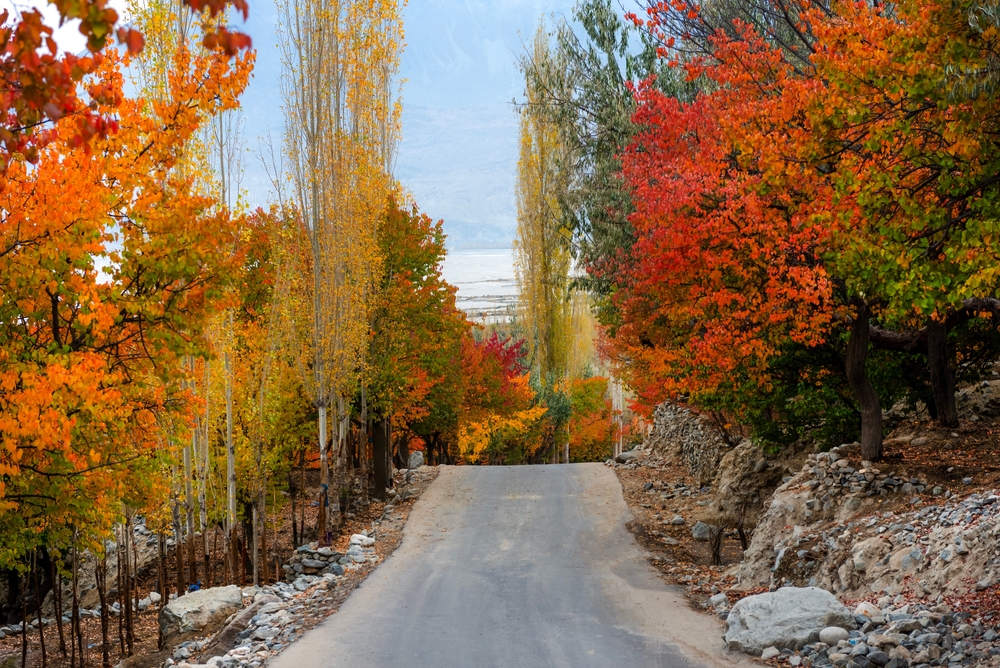 Beautiful,Autumn,Landscape,With,Colorful,Trees,In,The,Mountains,Valley