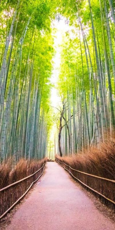 i-parallax-03-package-01-1024x683